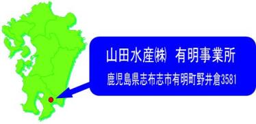 山田水産株式会社　有明事業所